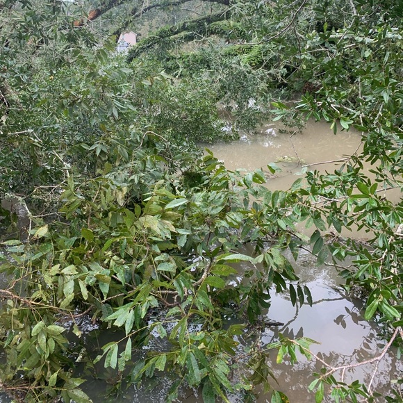 UPDATE - Picture 2 of 8